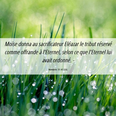 Picture 06 - Nombres 31:41 LSG - Moïse donna au sacrificateur Eléazar le tribut - Bible Verse Picture
