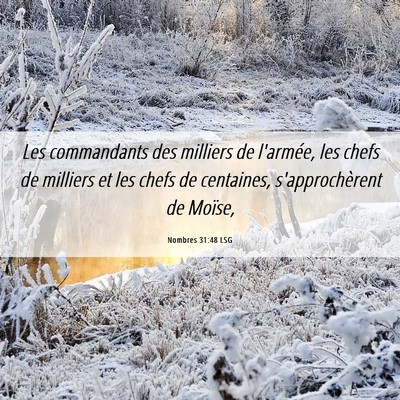 Picture 06 - Nombres 31:48 LSG - Les commandants des milliers de l'armée, les - Bible Verse Picture