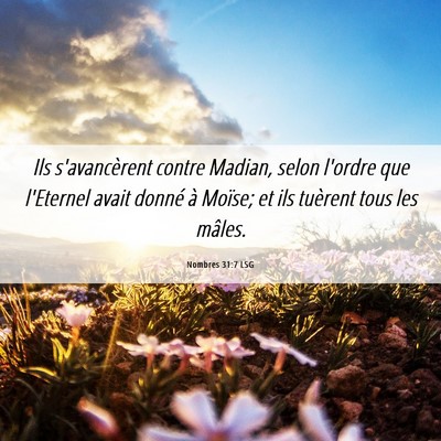 Picture 06 - Nombres 31:7 LSG - Ils s'avancèrent contre Madian, selon l'ordre - Bible Verse Picture