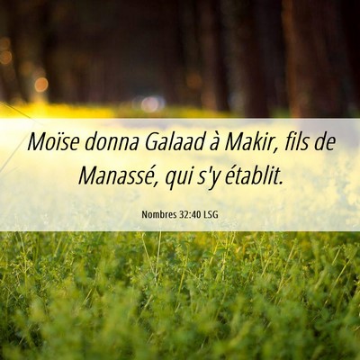 Picture 06 - Nombres 32:40 LSG - Moïse donna Galaad à Makir, fils de Manassé, - Bible Verse Picture