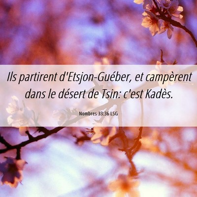 Picture 06 - Nombres 33:36 LSG - Ils partirent d'Etsjon-Guéber, et campèrent - Bible Verse Picture