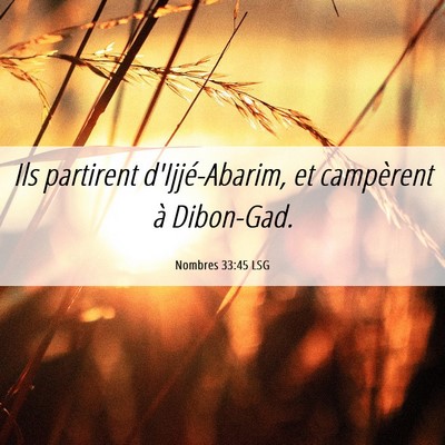Picture 06 - Nombres 33:45 LSG - Ils partirent d'Ijjé-Abarim, et campèrent à - Bible Verse Picture