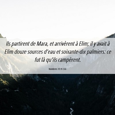 Picture 06 - Nombres 33:9 LSG - Ils partirent de Mara, et arrivèrent à Elim; il - Bible Verse Picture