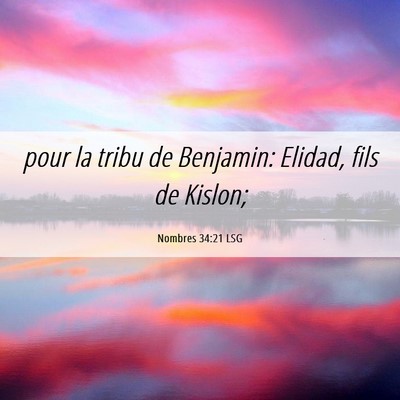 Picture 06 - Nombres 34:21 LSG - pour la tribu de Benjamin: Elidad, fils de - Bible Verse Picture