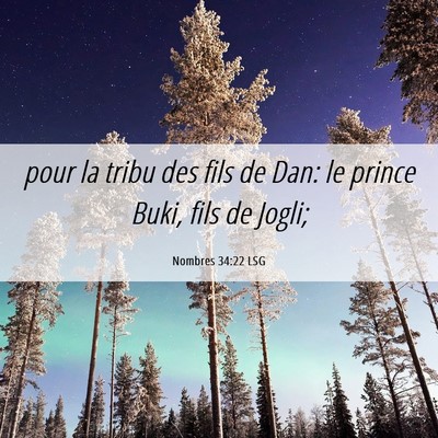 Picture 06 - Nombres 34:22 LSG - pour la tribu des fils de Dan: le prince Buki, - Bible Verse Picture