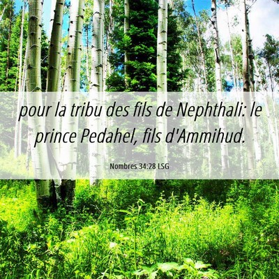 Picture 06 - Nombres 34:28 LSG - pour la tribu des fils de Nephthali: le prince - Bible Verse Picture