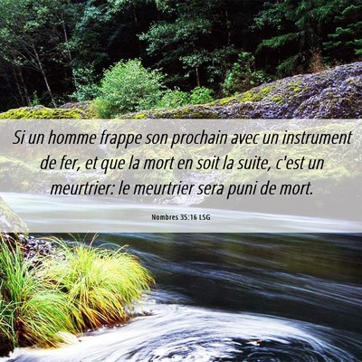 Picture 06 - Nombres 35:16 LSG - Si un homme frappe son prochain avec un - Bible Verse Picture
