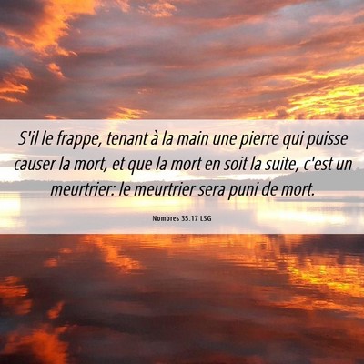 Picture 06 - Nombres 35:17 LSG - S'il le frappe, tenant à la main une pierre qui - Bible Verse Picture