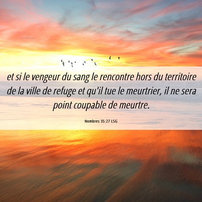 Picture 06 - Nombres 35:27 LSG - et si le vengeur du sang le rencontre hors du - Bible Verse Picture