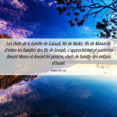 Picture 06 - Nombres 36:1 LSG - Les chefs de la famille de Galaad, fils de Makir, - Bible Verse Picture