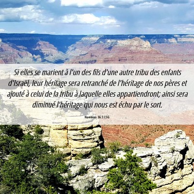 Picture 06 - Nombres 36:3 LSG - Si elles se marient à l'un des fils d'une autre - Bible Verse Picture