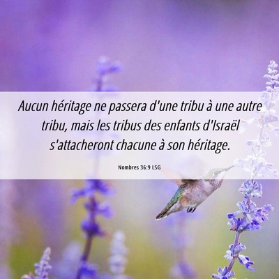 Picture 06 - Nombres 36:9 LSG - Aucun héritage ne passera d'une tribu à une - Bible Verse Picture