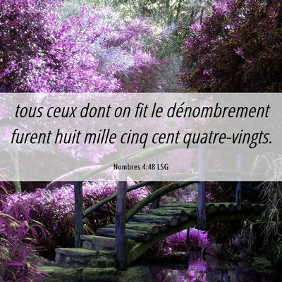 Picture 06 - Nombres 4:48 LSG - tous ceux dont on fit le dénombrement furent - Bible Verse Picture