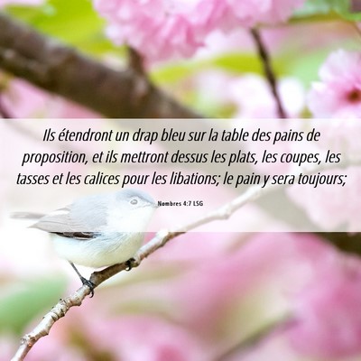 Picture 06 - Nombres 4:7 LSG - Ils étendront un drap bleu sur la table des - Bible Verse Picture