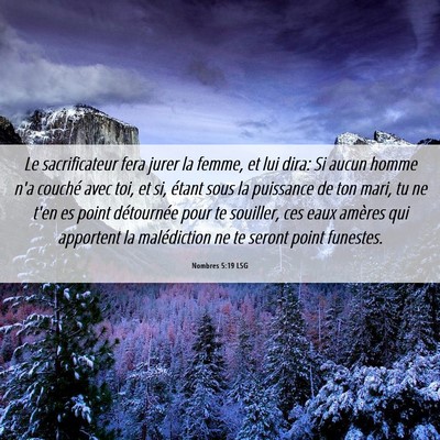 Picture 06 - Nombres 5:19 LSG - Le sacrificateur fera jurer la femme, et lui - Bible Verse Picture