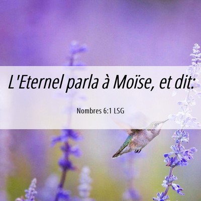 Picture 06 - Nombres 6:1 LSG - L'Eternel parla à Moïse, et - Bible Verse Picture