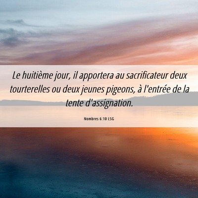 Picture 06 - Nombres 6:10 LSG - Le huitième jour, il apportera au sacrificateur - Bible Verse Picture