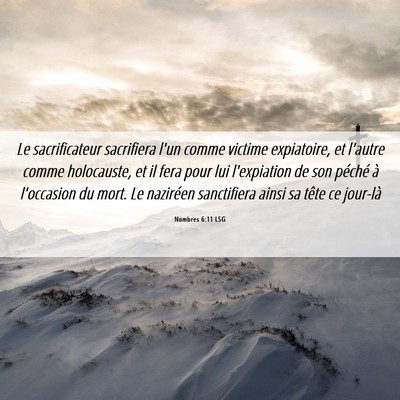 Picture 06 - Nombres 6:11 LSG - Le sacrificateur sacrifiera l'un comme victime - Bible Verse Picture
