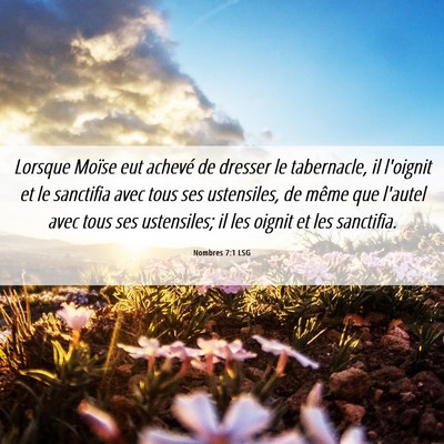 Picture 06 - Nombres 7:1 LSG - Lorsque Moïse eut achevé de dresser le - Bible Verse Picture