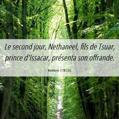 Picture 06 - Nombres 7:18 LSG - Le second jour, Nethaneel, fils de Tsuar, prince - Bible Verse Picture