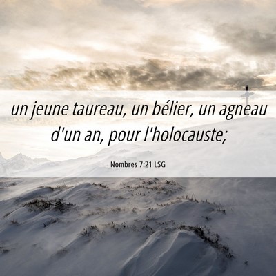 Picture 06 - Nombres 7:21 LSG - un jeune taureau, un bélier, un agneau d'un an, - Bible Verse Picture