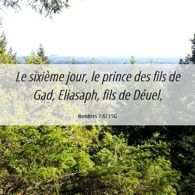 Picture 06 - Nombres 7:42 LSG - Le sixième jour, le prince des fils de Gad, - Bible Verse Picture