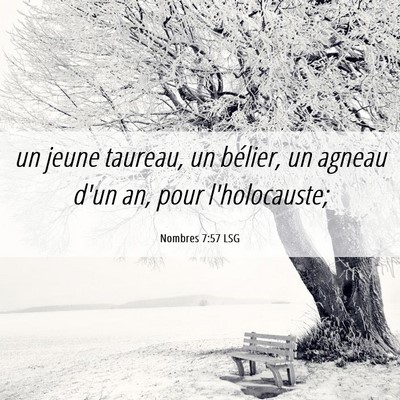 Picture 06 - Nombres 7:57 LSG - un jeune taureau, un bélier, un agneau d'un an, - Bible Verse Picture