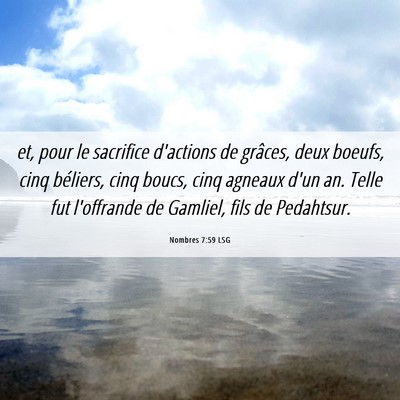Picture 06 - Nombres 7:59 LSG - et, pour le sacrifice d'actions de grâces, deux - Bible Verse Picture