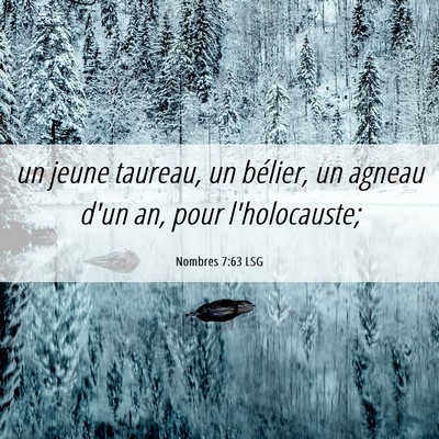 Picture 06 - Nombres 7:63 LSG - un jeune taureau, un bélier, un agneau d'un an, - Bible Verse Picture