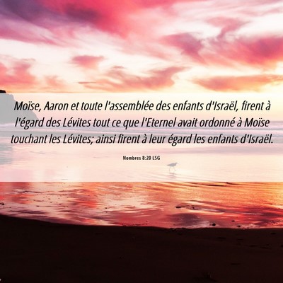 Picture 06 - Nombres 8:20 LSG - Moïse, Aaron et toute l'assemblée des enfants - Bible Verse Picture