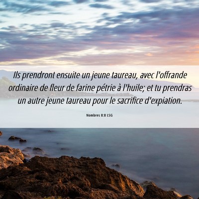 Picture 06 - Nombres 8:8 LSG - Ils prendront ensuite un jeune taureau, avec - Bible Verse Picture