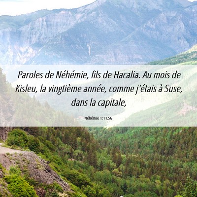 Picture 06 - Néhémie 1:1 LSG - Paroles de Néhémie, fils de Hacalia. Au mois de - Bible Verse Picture