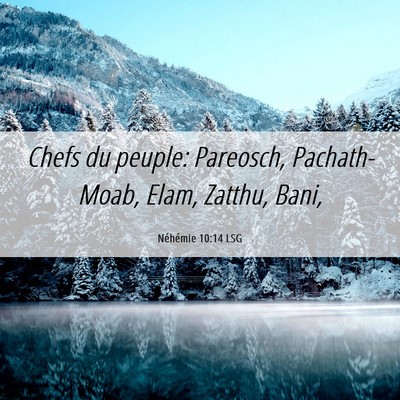 Picture 06 - Néhémie 10:14 LSG - Chefs du peuple: Pareosch, Pachath-Moab, Elam, - Bible Verse Picture