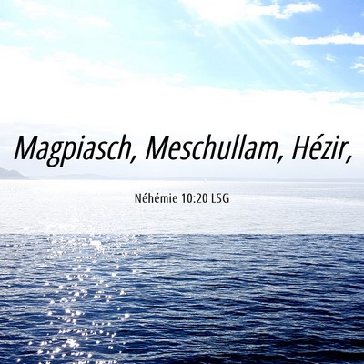 Picture 06 - Néhémie 10:20 LSG - Magpiasch, Meschullam, - Bible Verse Picture