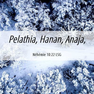 Picture 06 - Néhémie 10:22 LSG - Pelathia, Hanan, - Bible Verse Picture