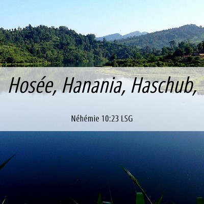 Picture 06 - Néhémie 10:23 LSG - Hosée, Hanania, - Bible Verse Picture