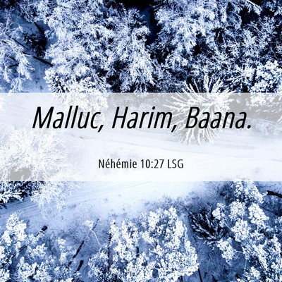Picture 06 - Néhémie 10:27 LSG - Malluc, Harim, - Bible Verse Picture