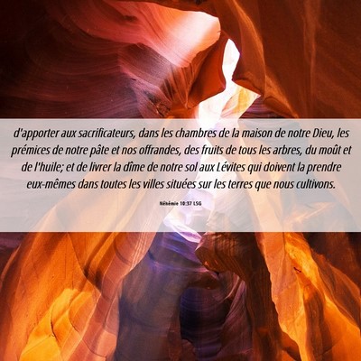 Picture 06 - Néhémie 10:37 LSG - d'apporter aux sacrificateurs, dans les chambres - Bible Verse Picture