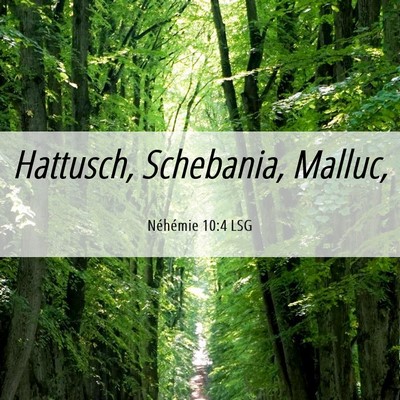 Picture 06 - Néhémie 10:4 LSG - Hattusch, Schebania, - Bible Verse Picture