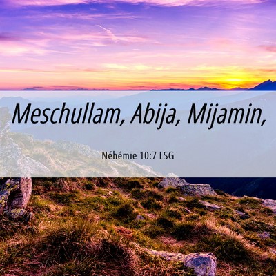 Picture 06 - Néhémie 10:7 LSG - Meschullam, Abija, - Bible Verse Picture