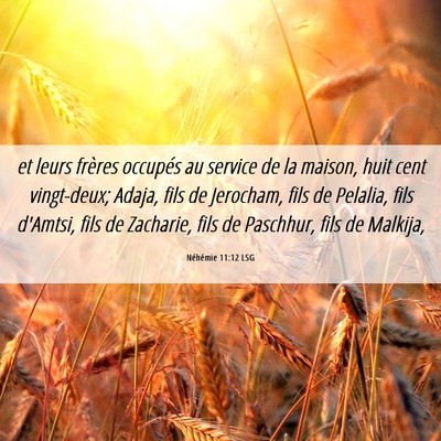 Picture 06 - Néhémie 11:12 LSG - et leurs frères occupés au service de la - Bible Verse Picture