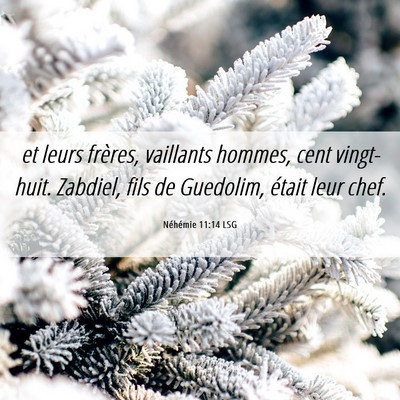 Picture 06 - Néhémie 11:14 LSG - et leurs frères, vaillants hommes, cent - Bible Verse Picture