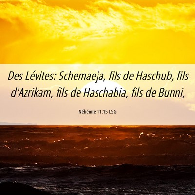 Picture 06 - Néhémie 11:15 LSG - Des Lévites: Schemaeja, fils de Haschub, fils - Bible Verse Picture