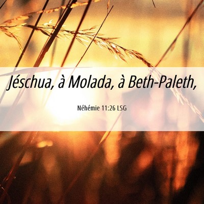 Picture 06 - Néhémie 11:26 LSG - Jéschua, à Molada, à - Bible Verse Picture