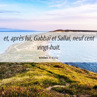Picture 06 - Néhémie 11:8 LSG - et, après lui, Gabbaï et Sallaï, neuf cent - Bible Verse Picture