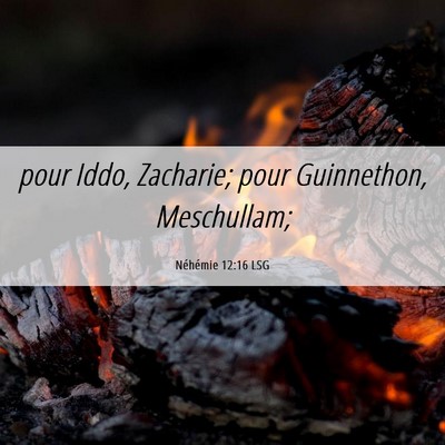 Picture 06 - Néhémie 12:16 LSG - pour Iddo, Zacharie; pour Guinnethon, - Bible Verse Picture