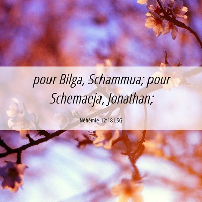 Picture 06 - Néhémie 12:18 LSG - pour Bilga, Schammua; pour Schemaeja, - Bible Verse Picture