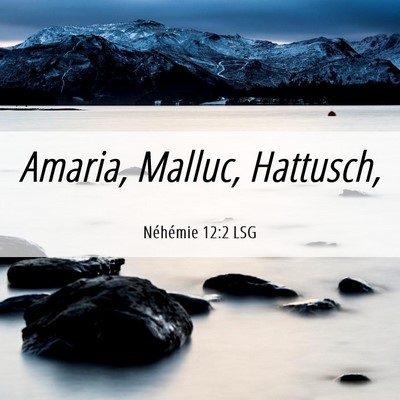 Picture 06 - Néhémie 12:2 LSG - Amaria, Malluc, - Bible Verse Picture