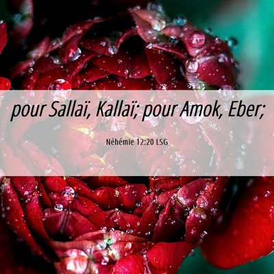 Picture 06 - Néhémie 12:20 LSG - pour Sallaï, Kallaï; pour Amok, - Bible Verse Picture