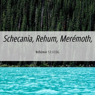 Picture 06 - Néhémie 12:3 LSG - Schecania, Rehum, - Bible Verse Picture